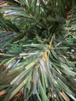 Árbol Navidad Premium Frondoso 240 Cm Con Luces 1500 Ramas - Imagen 4