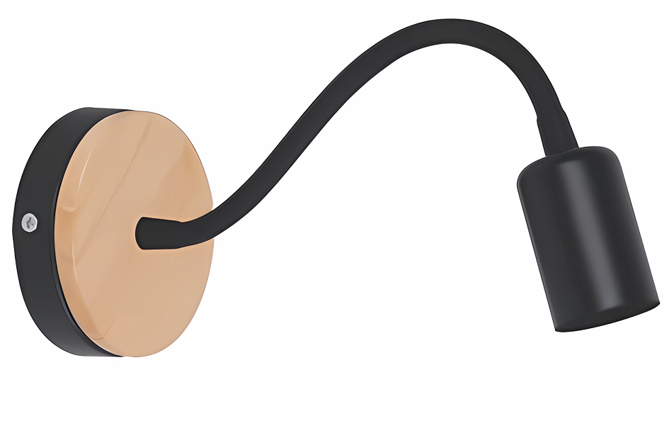 imagen_2025-01-10_123739431