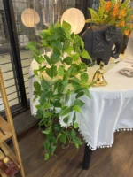 Planta Enredadera Vegetación Artificial Guia Colgante - Imagen 3