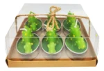 Pack De 6 Velas Decorativas Formas De Suculentas - Imagen 3
