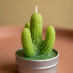 Pack De 6 Velas Decorativas Formas De Suculentas Portavela - Imagen 3